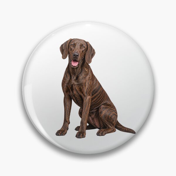 Item preview, Plott Hound Dog designed and sold by BackgroundND.