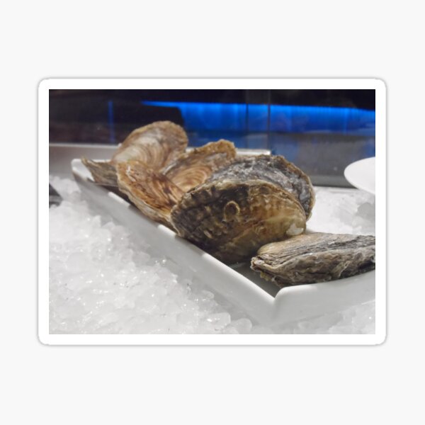 Closed oysters on ice Sticker