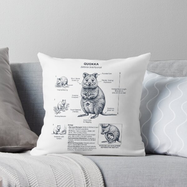 Item preview, Quokka Scientific Anatomy Biology Animal Lover designed and sold by dian-rody-crest.
