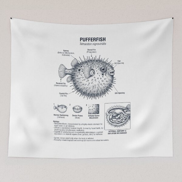 Item preview, Pufferfish Scientific Anatomy Biology Animal Lover designed and sold by dian-rody-crest.