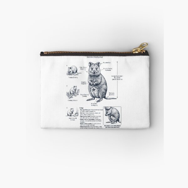 Item preview, Quokka Scientific Anatomy Biology Animal Lover designed and sold by dian-rody-crest.
