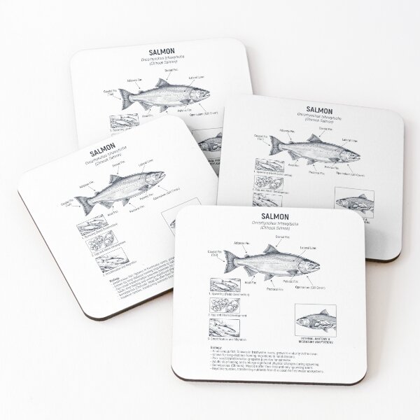 Item preview, Salmon Scientific Anatomy Biology Animal Lover designed and sold by dian-rody-crest.