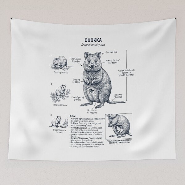 Item preview, Quokka Scientific Anatomy Biology Animal Lover designed and sold by dian-rody-crest.