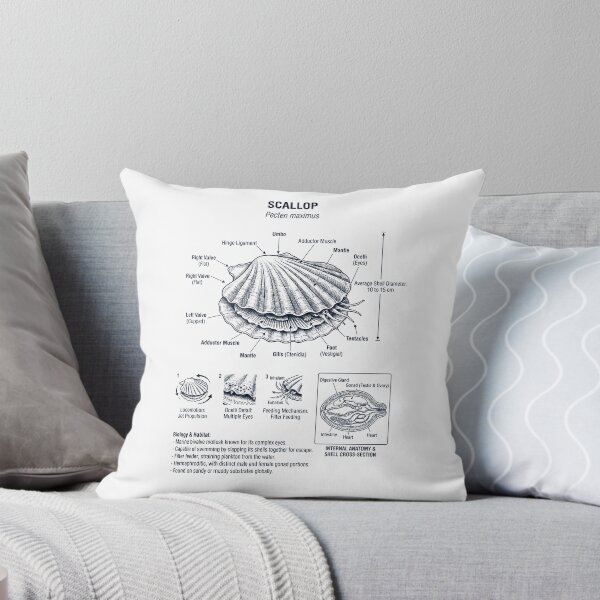 Item preview, Scallop Scientific Anatomy Biology Animal Lover designed and sold by dian-rody-crest.