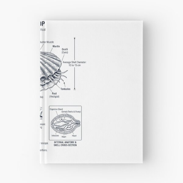 Item preview, Scallop Scientific Anatomy Biology Animal Lover designed and sold by dian-rody-crest.