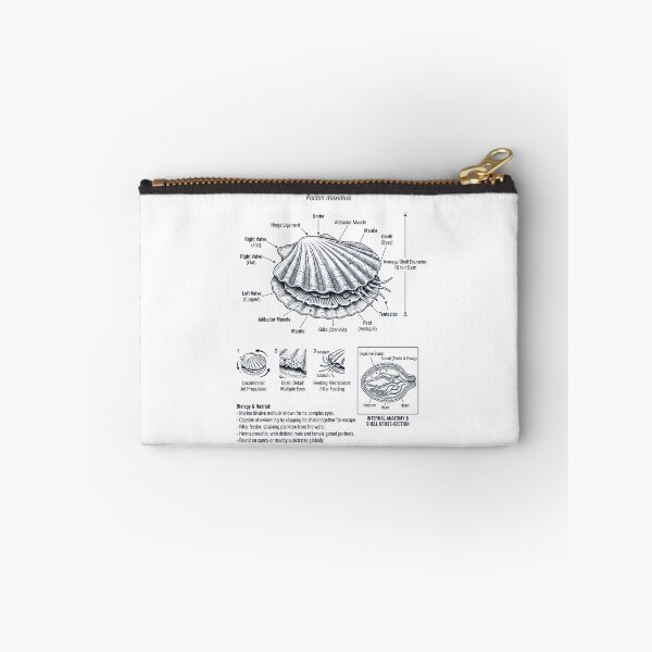 Item preview, Scallop Scientific Anatomy Biology Animal Lover designed and sold by dian-rody-crest.