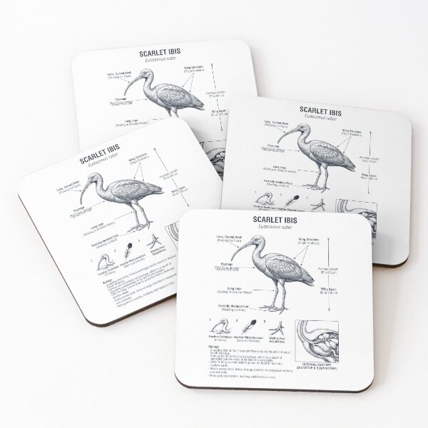 Item preview, Scarlet Ibis Scientific Anatomy Biology Animal Lover designed and sold by dian-rody-crest.