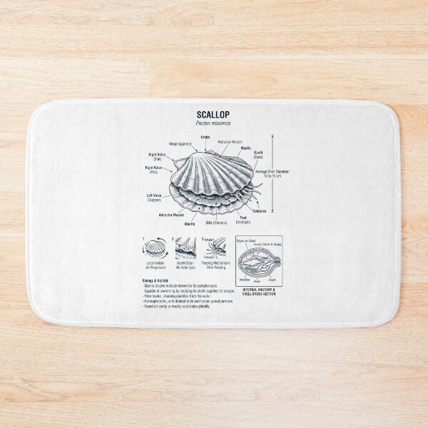 Item preview, Scallop Scientific Anatomy Biology Animal Lover designed and sold by dian-rody-crest.