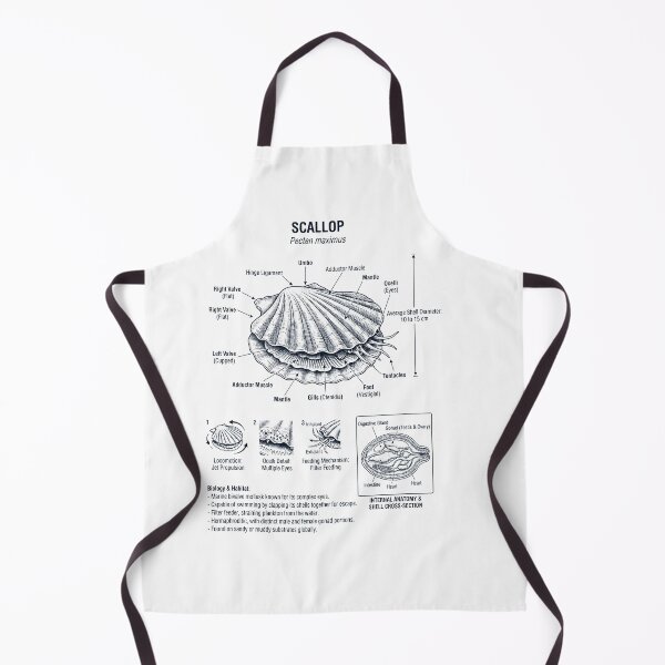 Item preview, Scallop Scientific Anatomy Biology Animal Lover designed and sold by dian-rody-crest.