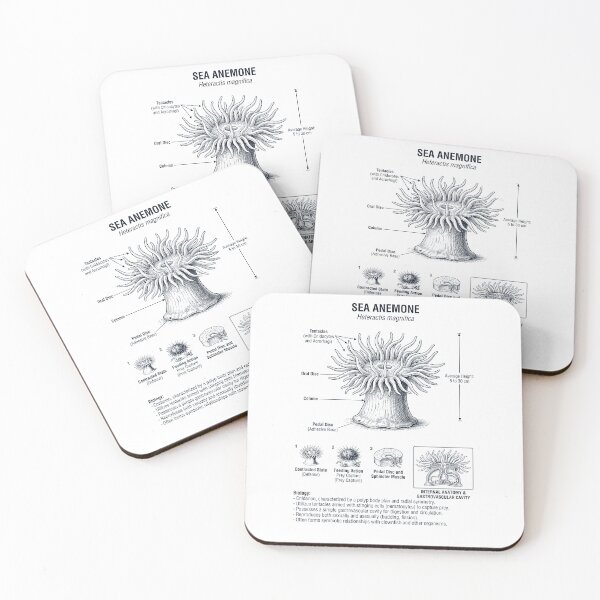 Item preview, Sea Anemone Scientific Anatomy Biology Animal Lover designed and sold by dian-rody-crest.