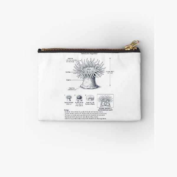 Item preview, Sea Anemone Scientific Anatomy Biology Animal Lover designed and sold by dian-rody-crest.