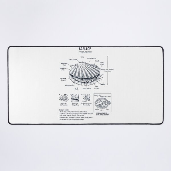 Item preview, Scallop Scientific Anatomy Biology Animal Lover designed and sold by dian-rody-crest.