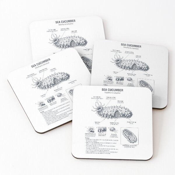 Item preview, Sea Cucumber Scientific Anatomy Biology Animal Lover designed and sold by dian-rody-crest.