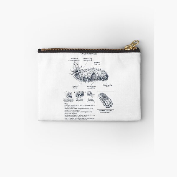 Item preview, Sea Cucumber Scientific Anatomy Biology Animal Lover designed and sold by dian-rody-crest.