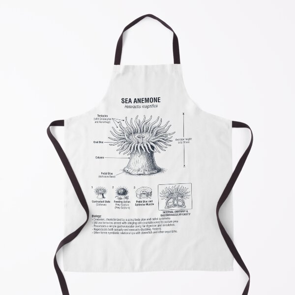 Item preview, Sea Anemone Scientific Anatomy Biology Animal Lover designed and sold by dian-rody-crest.
