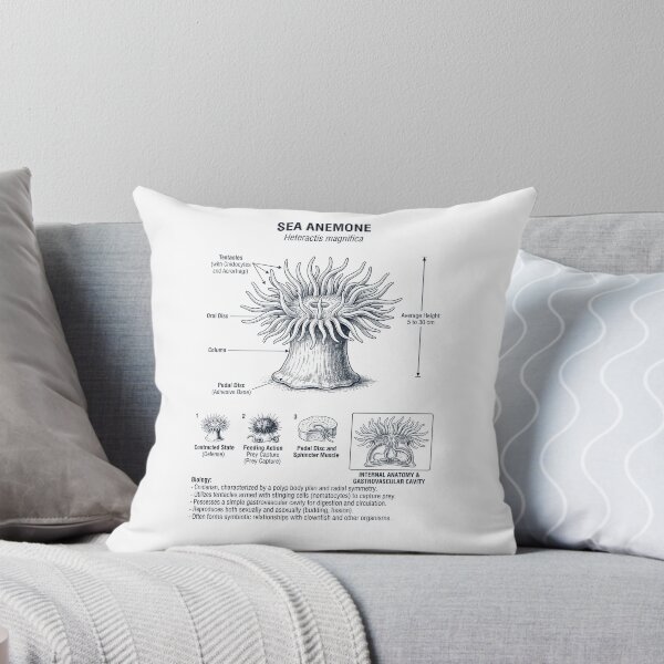 Item preview, Sea Anemone Scientific Anatomy Biology Animal Lover designed and sold by dian-rody-crest.