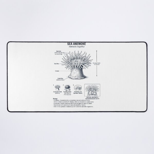 Item preview, Sea Anemone Scientific Anatomy Biology Animal Lover designed and sold by dian-rody-crest.