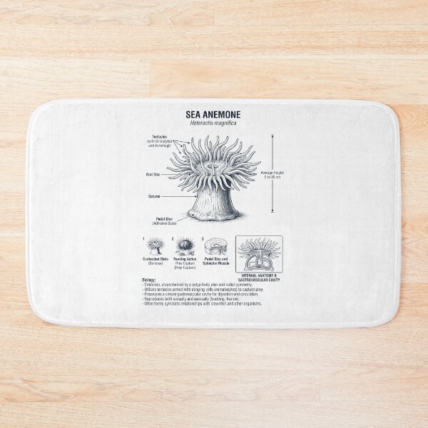 Item preview, Sea Anemone Scientific Anatomy Biology Animal Lover designed and sold by dian-rody-crest.