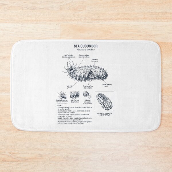 Item preview, Sea Cucumber Scientific Anatomy Biology Animal Lover designed and sold by dian-rody-crest.