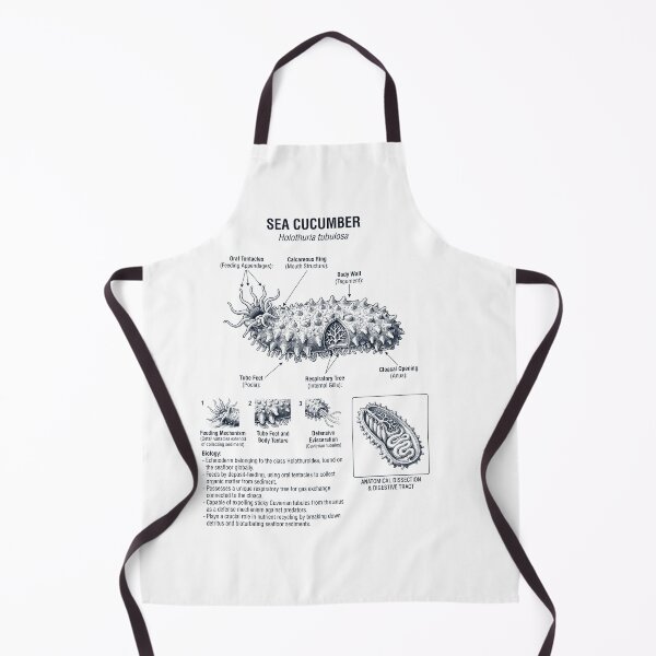 Item preview, Sea Cucumber Scientific Anatomy Biology Animal Lover designed and sold by dian-rody-crest.