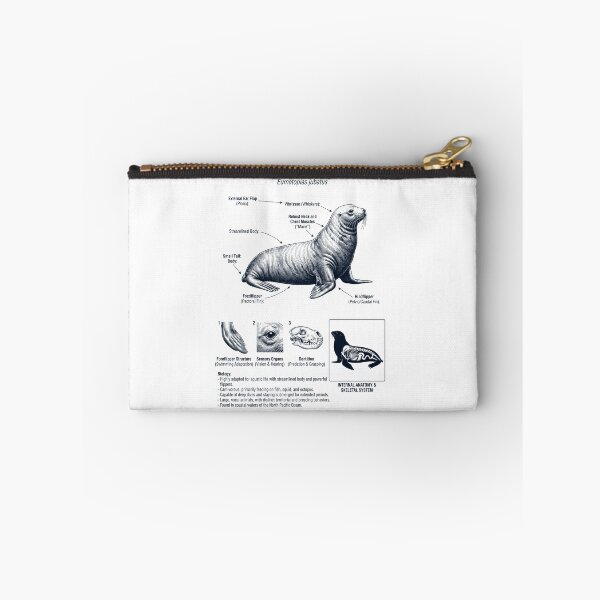 Item preview, Sea Lion Scientific Anatomy Biology Animal Lover designed and sold by dian-rody-crest.