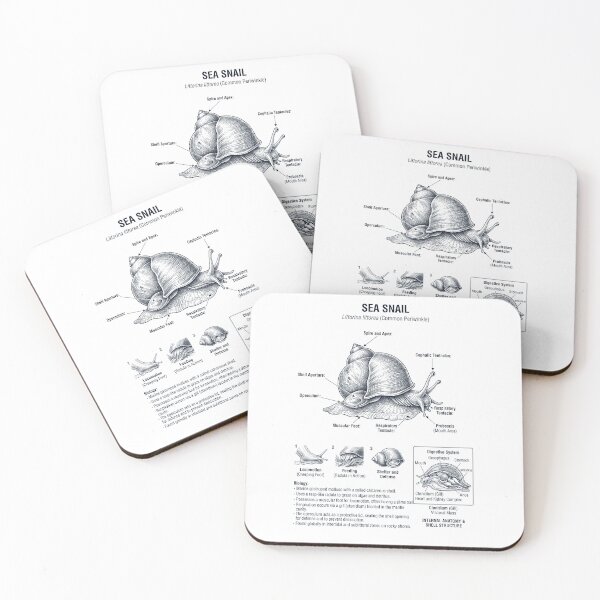 Item preview, Sea Snail Scientific Anatomy Biology Animal Lover designed and sold by dian-rody-crest.