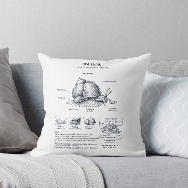 Item preview, Sea Snail Scientific Anatomy Biology Animal Lover designed and sold by dian-rody-crest.