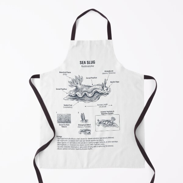 Item preview, Sea Slug Scientific Anatomy Marine Biology Animal Lover designed and sold by dian-rody-crest.