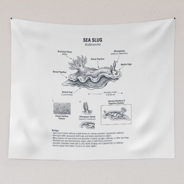 Item preview, Sea Slug Scientific Anatomy Marine Biology Animal Lover designed and sold by dian-rody-crest.