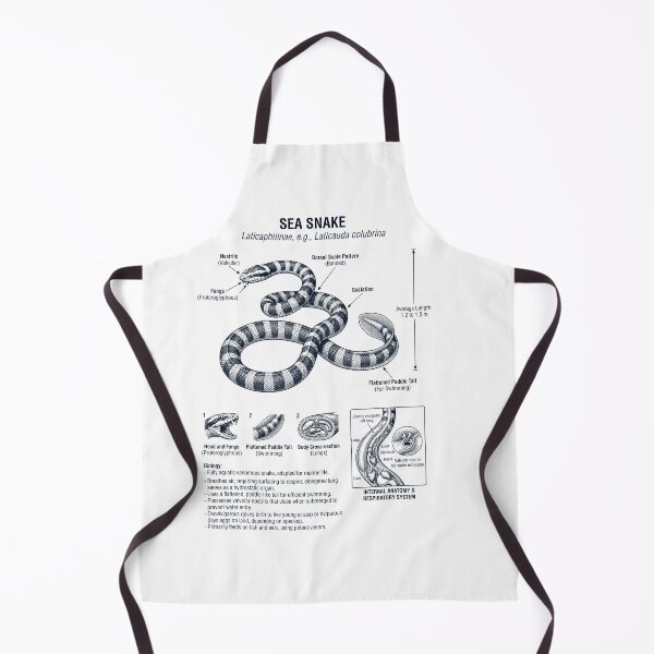 Item preview, Sea Snake Scientific Anatomy Biology Animal Lover designed and sold by dian-rody-crest.