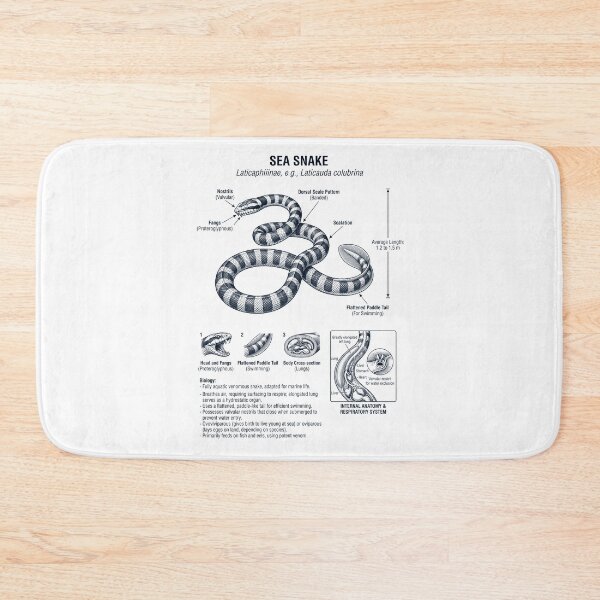 Item preview, Sea Snake Scientific Anatomy Biology Animal Lover designed and sold by dian-rody-crest.
