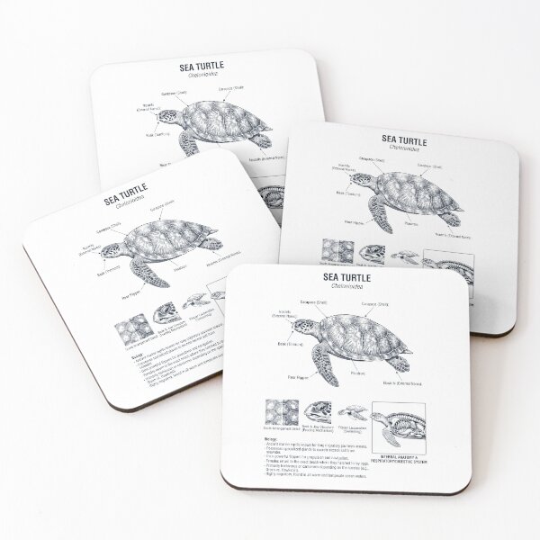 Item preview, Sea Turtle Scientific Anatomy Biology Animal Lover designed and sold by dian-rody-crest.