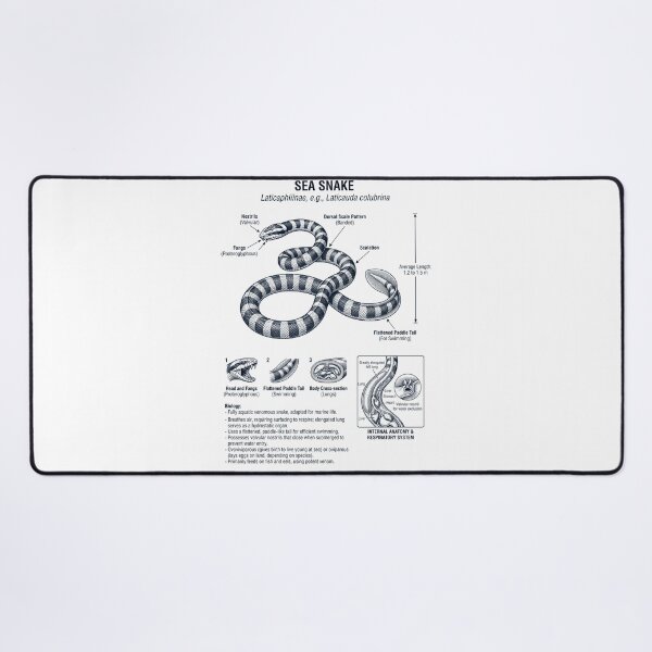 Item preview, Sea Snake Scientific Anatomy Biology Animal Lover designed and sold by dian-rody-crest.