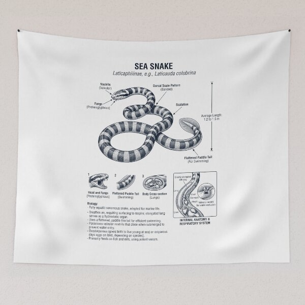 Item preview, Sea Snake Scientific Anatomy Biology Animal Lover designed and sold by dian-rody-crest.