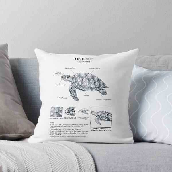 Item preview, Sea Turtle Scientific Anatomy Biology Animal Lover designed and sold by dian-rody-crest.
