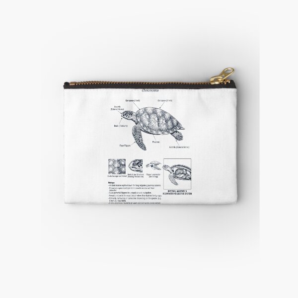Item preview, Sea Turtle Scientific Anatomy Biology Animal Lover designed and sold by dian-rody-crest.