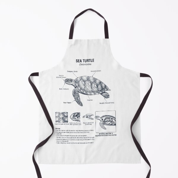 Item preview, Sea Turtle Scientific Anatomy Biology Animal Lover designed and sold by dian-rody-crest.
