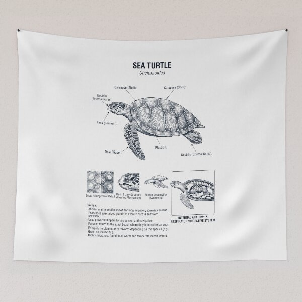 Item preview, Sea Turtle Scientific Anatomy Biology Animal Lover designed and sold by dian-rody-crest.