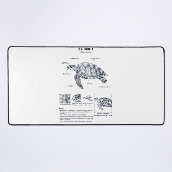 Item preview, Sea Turtle Scientific Anatomy Biology Animal Lover designed and sold by dian-rody-crest.