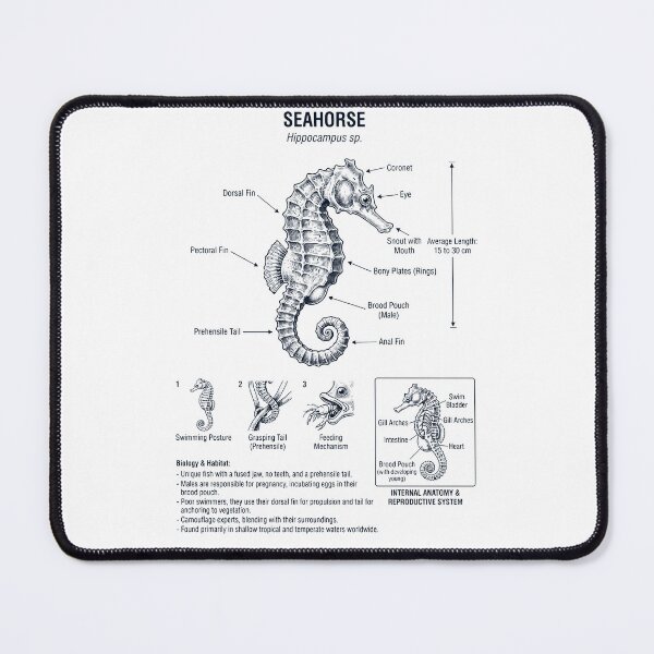 Item preview, Seahorse Scientific Anatomy Biology Animal Lover designed and sold by dian-rody-crest.