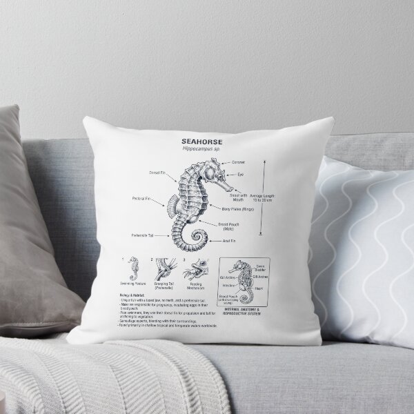 Item preview, Seahorse Scientific Anatomy Biology Animal Lover designed and sold by dian-rody-crest.