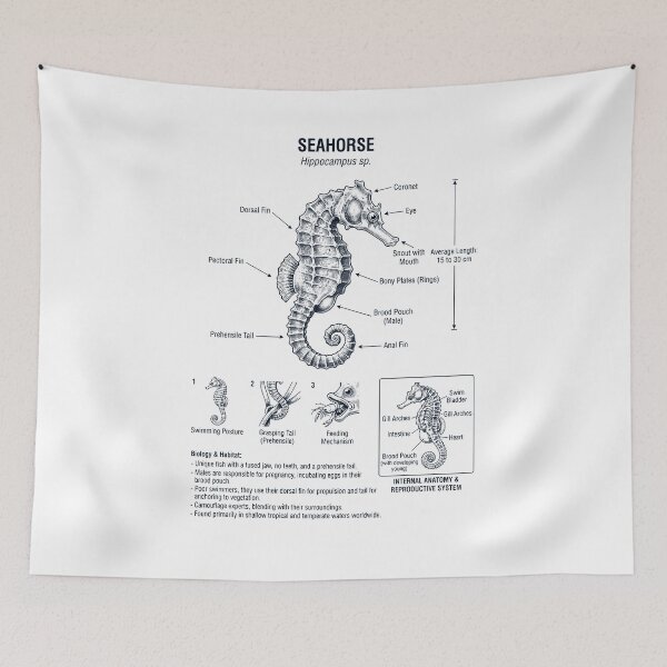 Item preview, Seahorse Scientific Anatomy Biology Animal Lover designed and sold by dian-rody-crest.