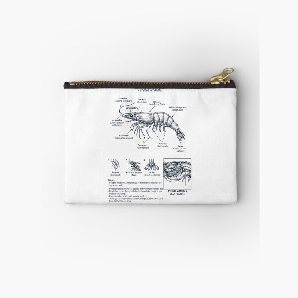 Item preview, Shrimp Scientific Anatomy Biology Animal Lover designed and sold by dian-rody-crest.
