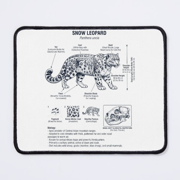 Item preview, Snow Leopard Scientific Anatomy Biology Animal Lover designed and sold by dian-rody-crest.