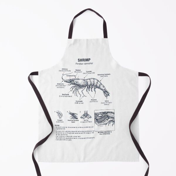 Item preview, Shrimp Scientific Anatomy Biology Animal Lover designed and sold by dian-rody-crest.