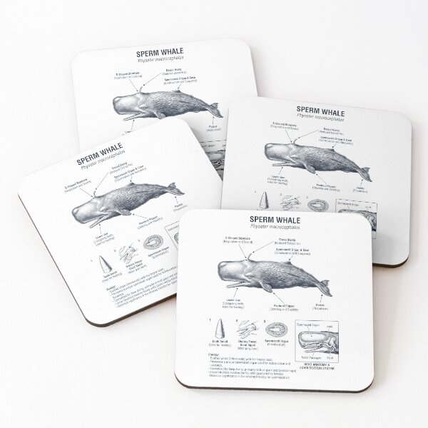 Item preview, Sperm Whale Scientific Anatomy Marine Biology Animal Lover designed and sold by dian-rody-crest.