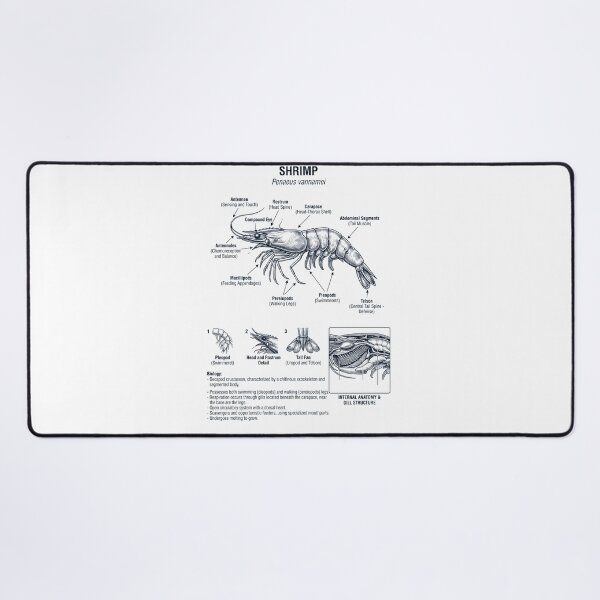 Item preview, Shrimp Scientific Anatomy Biology Animal Lover designed and sold by dian-rody-crest.