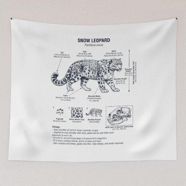 Item preview, Snow Leopard Scientific Anatomy Biology Animal Lover designed and sold by dian-rody-crest.
