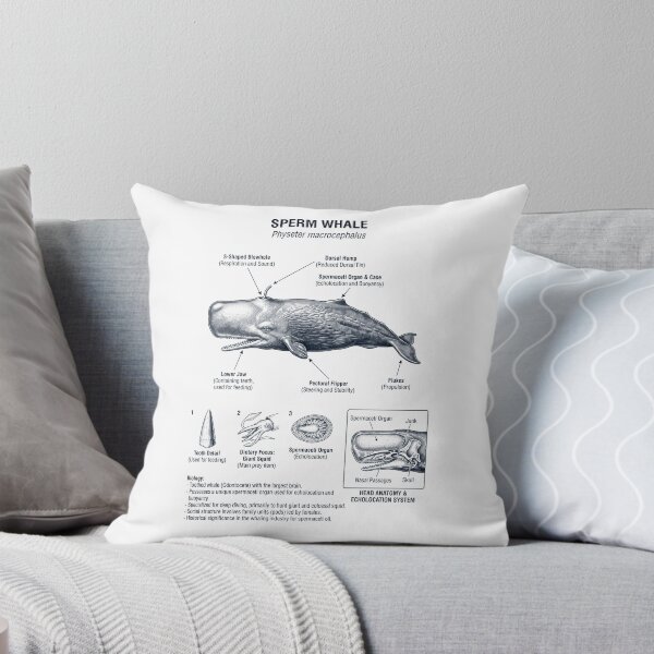 Item preview, Sperm Whale Scientific Anatomy Marine Biology Animal Lover designed and sold by dian-rody-crest.