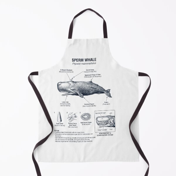 Item preview, Sperm Whale Scientific Anatomy Marine Biology Animal Lover designed and sold by dian-rody-crest.